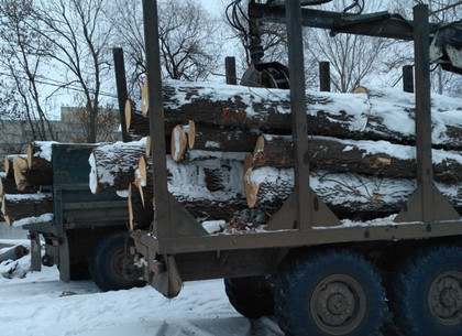 На Харьковщине копы остановили грузовики с незаконно вырубленными дубами