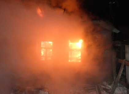 Пожар в Малиновке: в огне погибли два человека