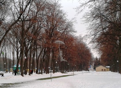 Прогноз погоды в Харькове на среду, 4 января