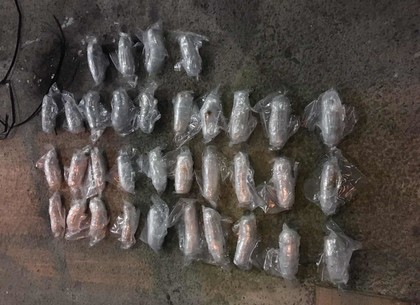 В топливном баке украинец пытался вывезти 13 килограммов наркотиков (ФОТО, ВИДЕО)