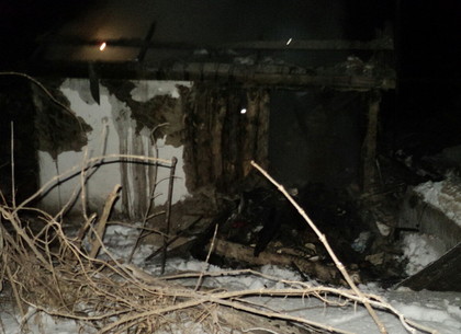 Пожилая женщина погибла на пожаре под Харьковом