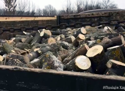 Под Харьковом остановили грузовик с неопознанной древесиной