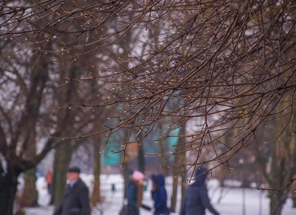 Прогноз погоды в Харькове на среду, 15 февраля