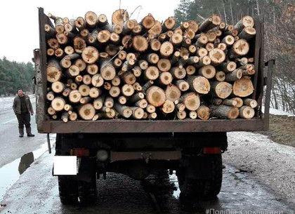 На Харьковщине продолжается незаконная вырубка деревьев