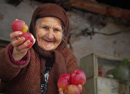 Под Харьковом безработный украл у пенсионерки еду