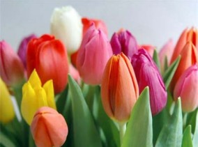 В Киевском районе представительниц прекрасного пола поздравили с праздником весны