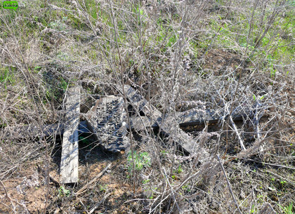 На Харьковщине возле заброшенной могилы обнаружили тело младенца