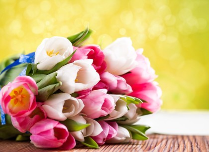 Продавцу тюльпанов под Харьковом испортили праздник