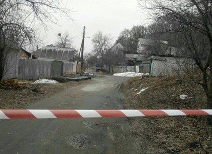 В двух дворах Харькова обнаружили боеприпасы (ФОТО)