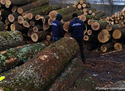 В Золочеве накрыли склад незаконно срубленной древесины (ФОТО)