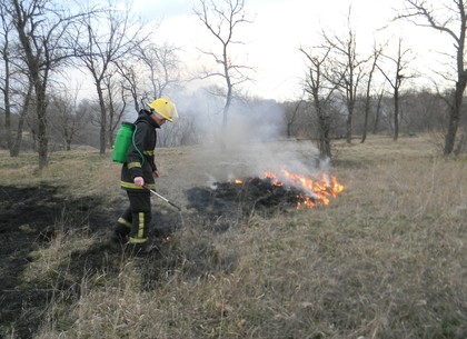 Спасатели призывают не провоцировать пожары в экосистемах