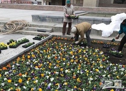 В центре Харькова высадили первые цветы (ФОТО)