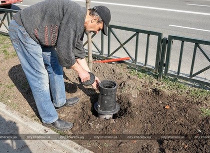 Новую технологию полива деревьев внедряют в Харькове (ФОТО)