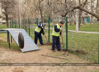 В городе приступили к ремонту площадок для выгула собак (ФОТО)