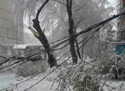 Поваленные деревья и обесточенные дома: в Харьков внезапно вернулась зима (ФОТО)
