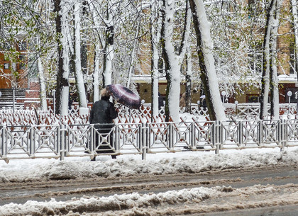 Апрельский снегопад в Харькове