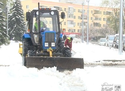 Уборка снега и распиливание упавших деревьев: Заботы харьковских дворников