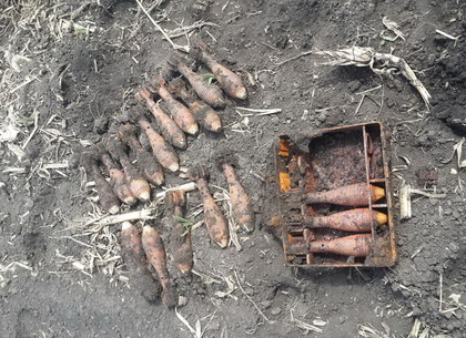 На поле под Чугуевом нашли 40 боеприпасов