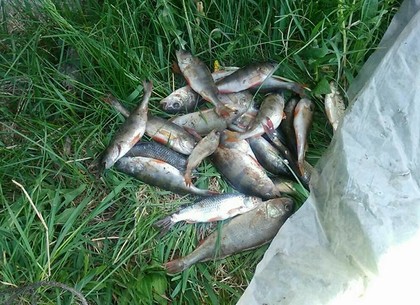 На Журавлевке назаконно ловили рыбу