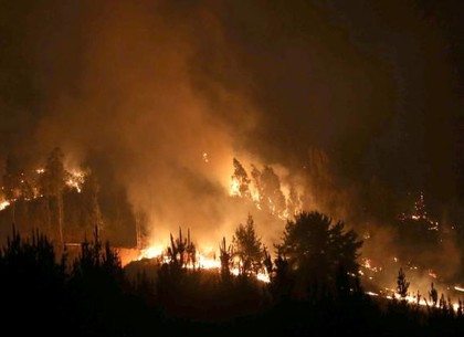 В Украине объявили о пожарной опасности