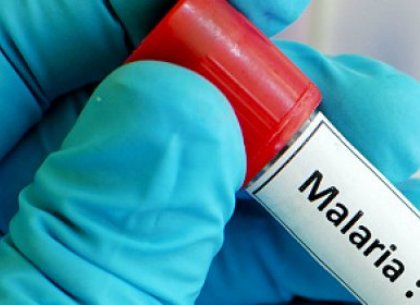 В Харьков завезли малярию