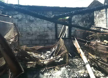Пожар под Харьковом уничтожил тонну сена и сотни голов домашней птицы