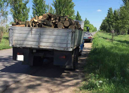 Под Харьковом задержали грузовик с древесиной (ФОТО)