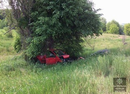 На Окружной машина застряла в дереве (ФОТО)