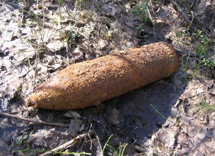 На Алексеевке нашли противотанковую мину и ручную гранату