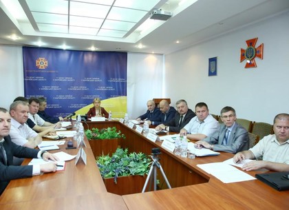 Юлия Светличная приняла участие в обсуждении мер противодействия лесным пожарам