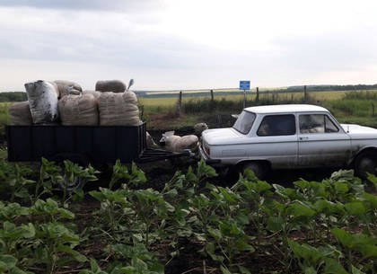 Автомобиль с прицепом контрабандных товаров пробирался огородами в Россию