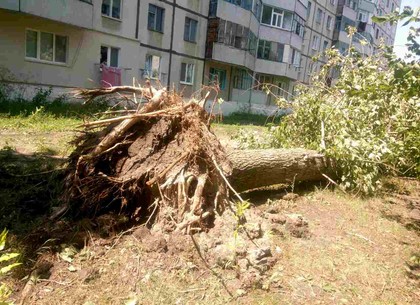 Ураган в Купянском районе обесточил пять сел (ВИДЕО)