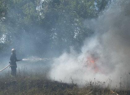 На Харьковщине горят экосистемы