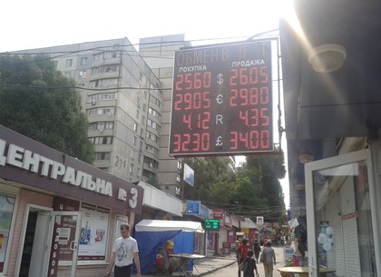 Наличные и безналичные курсы валют в Харькове на 12 июля
