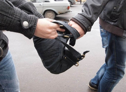 Нападение в Харькове: у мужчины украли сумку с огромной суммой