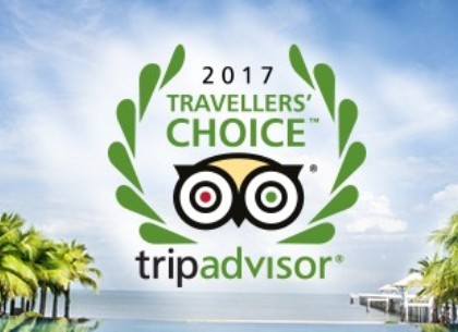 Travel choice. Travelers choice 2023 TRIPADVISOR. 2022 Выбор путешественников TRIPADVISOR. Travellers choice.