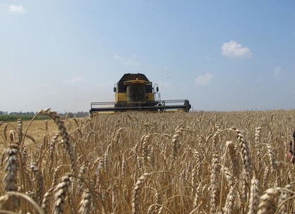 На Харьковщине собрали первый миллион тонн зерна нового урожая