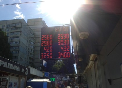 Наличные и безналичные курсы валют в Харькове на 31 июля
