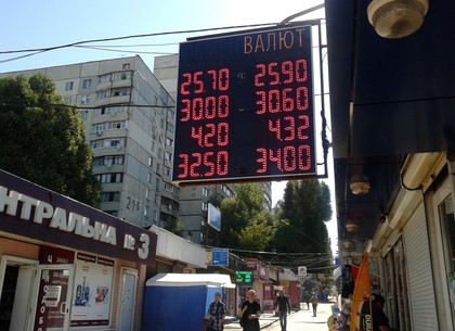 Наличные и безналичные курсы валют в Харькове на 1 августа