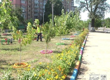 Какой двор коммунальщики Новобаварского района представят на городской конкурс