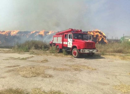 Масштабный пожар на Балаклейщине: к ликвидации привлекли самолеты и пожарный поезд (ФОТО, ВИДЕО)
