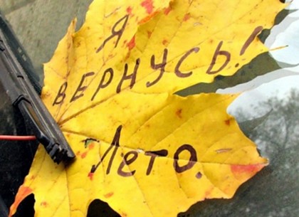 Вернется ли в Украину жара: прогноз синоптиков