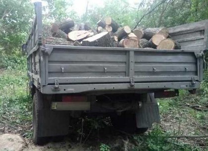На Харьковщине поймали банду лесных браконьеров (ФОТО)