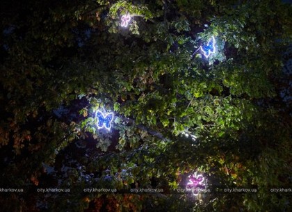 В саду Шевченко появились светящиеся объекты (ФОТО)