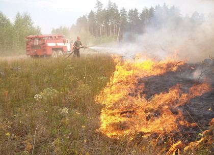 Спасатели Харьковщины ликвидировали более 3 тысяч пожаров в природных экосистемах