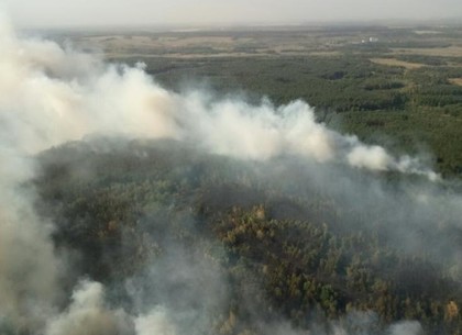 На Харьковщине горят леса