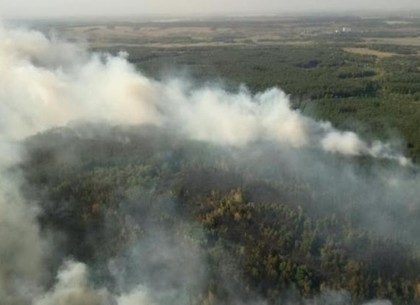 На Харьковщине ликвидировали лесной пожар
