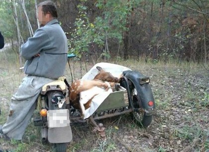 На Харьковщине поймали браконьеров
