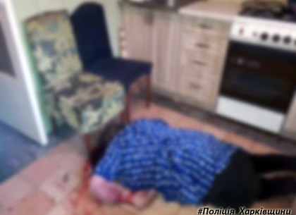 Житель Харьковской области во время ссоры убил мать