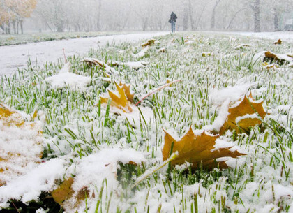 Синоптики: завтра в Харькове возможен первый снег